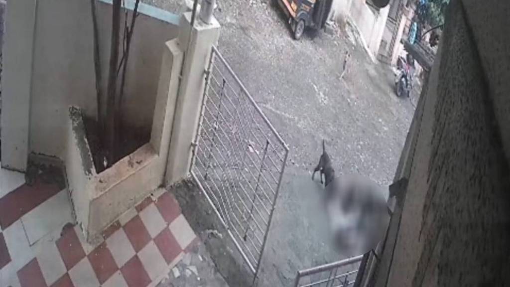 Dombivli Mothagaon Reti Bunder child injured in attack of Five stray dogs