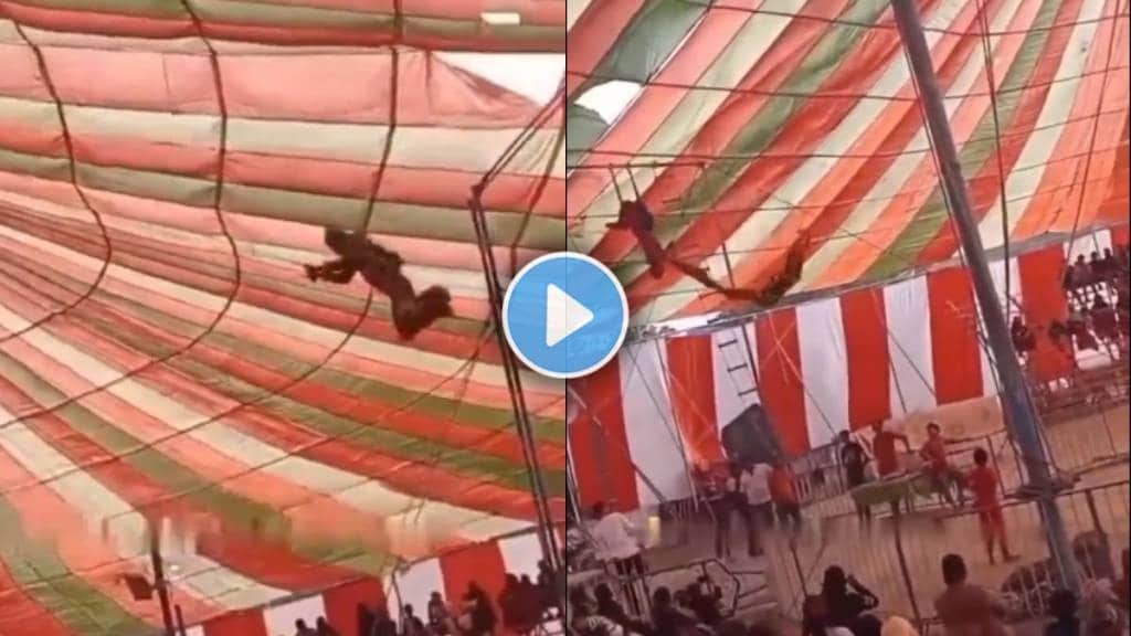 circus funny comedy viral video
