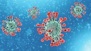 pune iiser develops enhanced rna sensors for covid 19 and zika detection