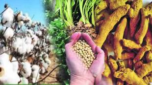 Maharashtra hedging desk news in marathi