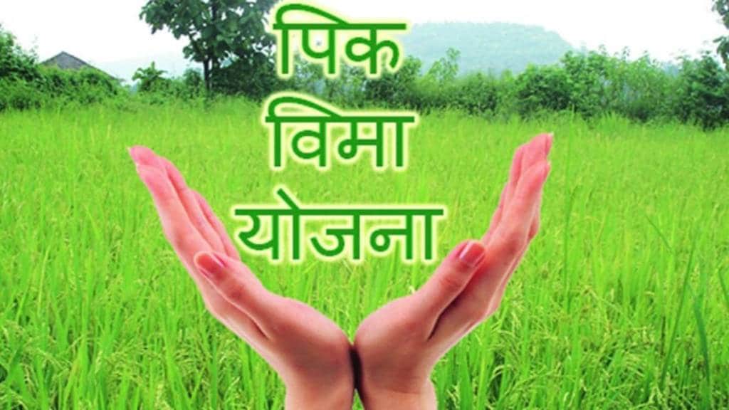 Kharif season crop insurance scheme in Maharashtra news in marathi