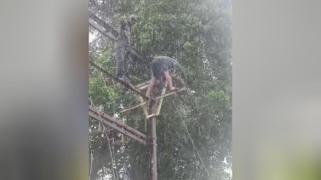 Workers on electricity poles in the rain to restore power supply akola news
