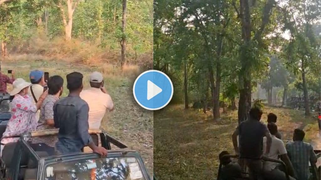 nagpur famous tigress Lakshmi thrilling attack on leopard at Pench Tiger Reserve viral video