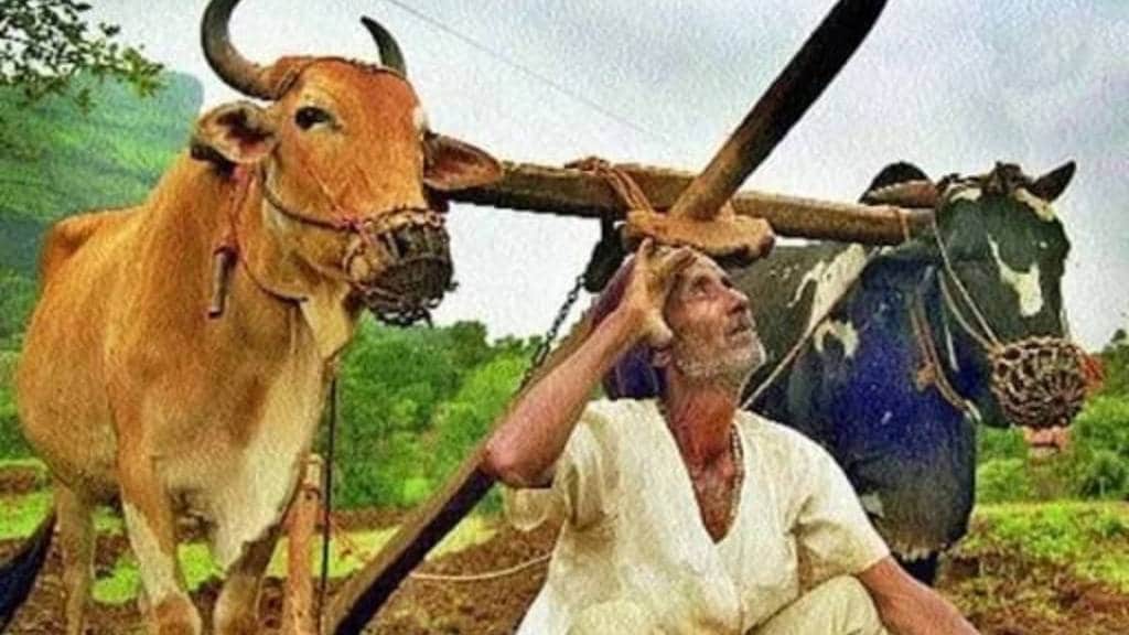 Kharif season problems due to delayed in rain