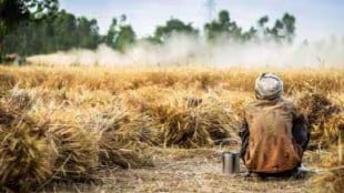 Elderly farmer commits suicide solapur news