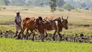 jalna 18 crore missing crop compensation talathi gramsevak inquiry