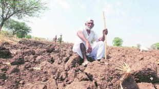 Government important advice to farmers regarding sowing Mumbai print news