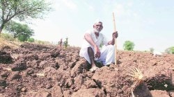 पावसाअभावी पेरण्यांचा खोळंबा; सरकारचा शेतकऱ्यांना महत्त्वाचा सल्ला