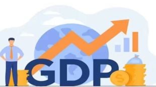 India GDP growth