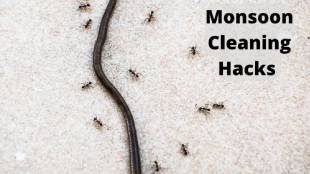 how to get rid of earthworms in home