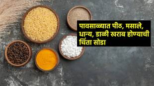 how to store rice flour dal Spices prevent it from bugs
