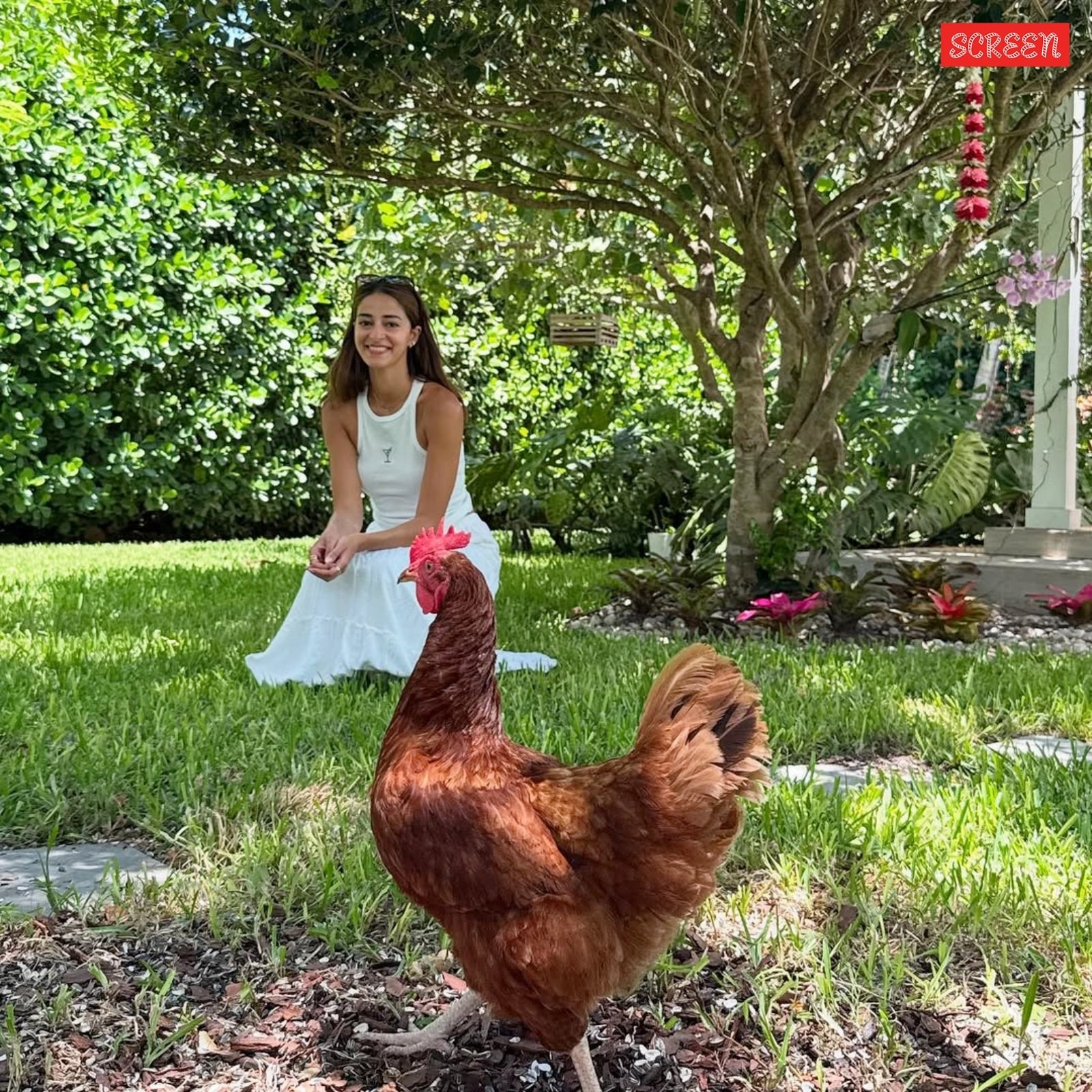 ananya panday
