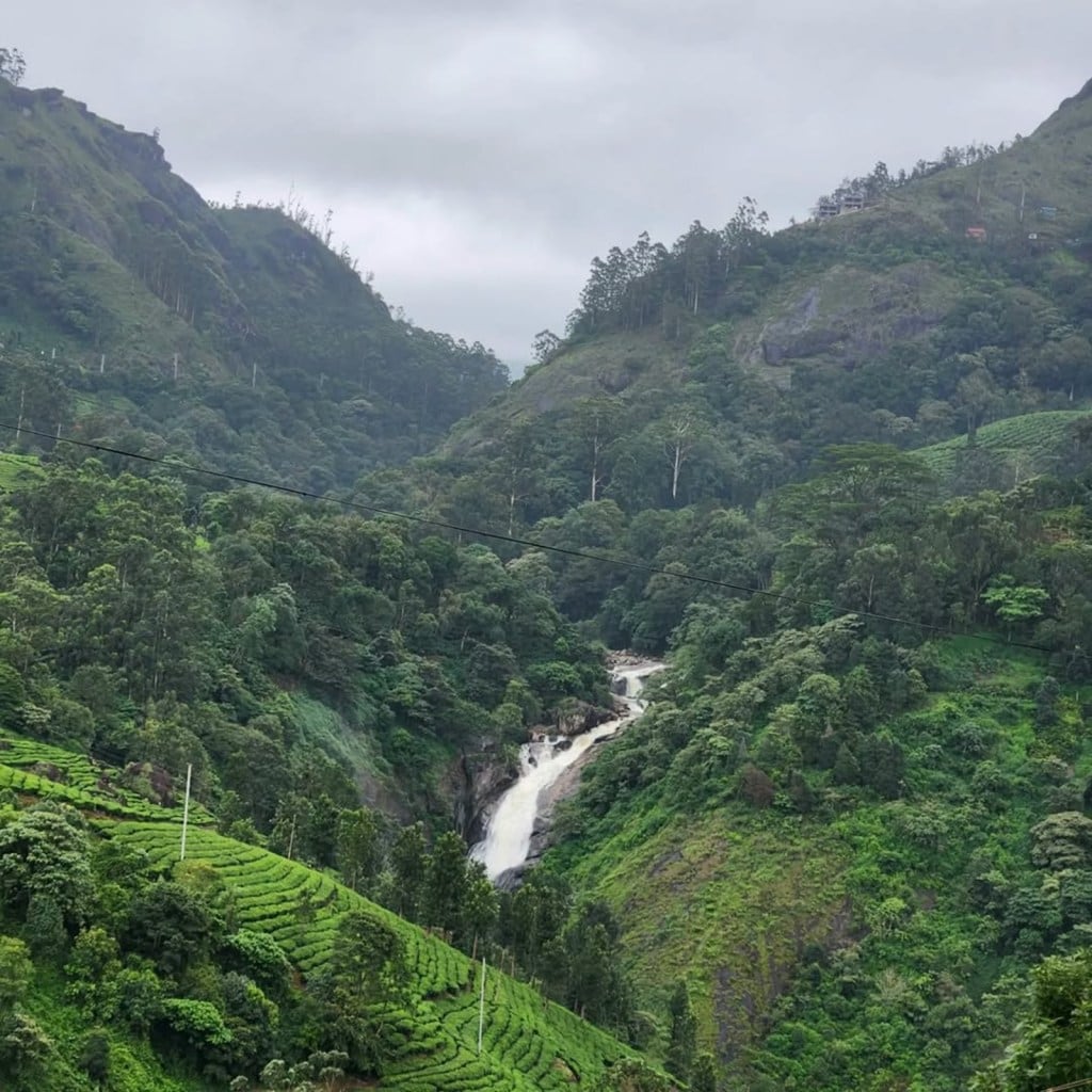 Munnar Monsoon Trip