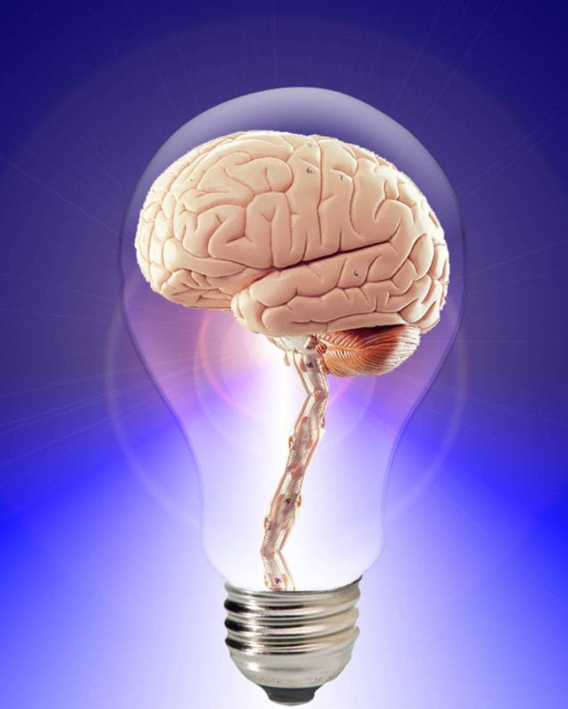 brain health
