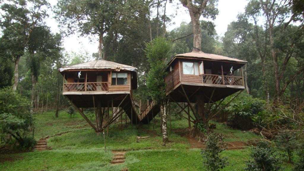 Wayanad trip | monsoon trip | kerala trip | kerala tourism | kerala tourist places