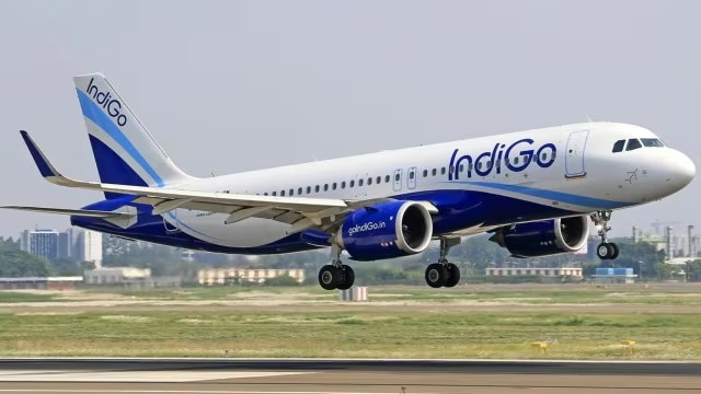 Which Airline Has the Largest Fleet in the World