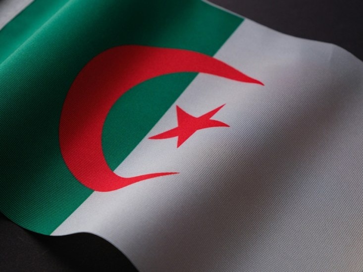 Algerian flag
