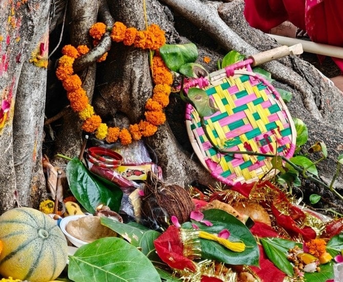 From Shani Dosh to Mental Calm Benefits of the Peepal Tree Parikrama