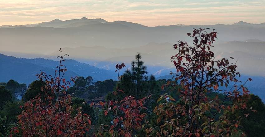 Ranikhet