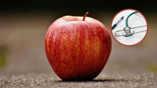 Your Daily Dose of Nature