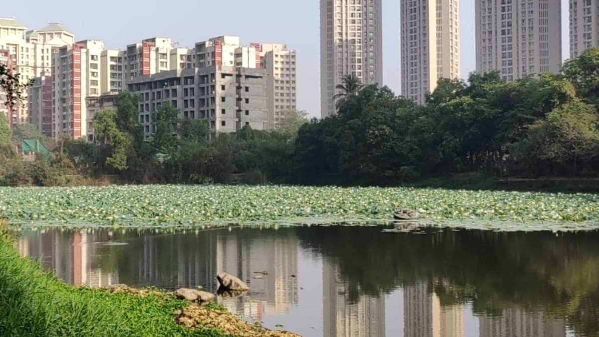 petition to save Kavesar Lake news in marathi