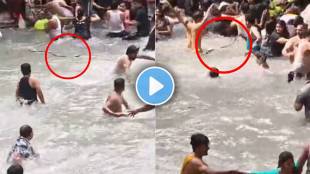 king cobra attack kempty falls viral video