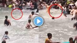 धबधब्यात तरंगताना दिसला महाकाय किंग कोब्रा, पाहून लोकांची पळापळ, पुढे घडलं असं काही भयानक की…; पाहा धडकी भरवणारा VIDEO