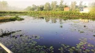 peaceful protest against debris dump Lotus Lake