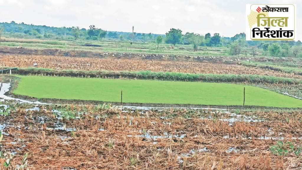 Bhandara district farming businesses