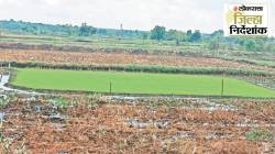 कृषी, वने, मत्स्य व्यवसायात वाढ; भंडाऱ्यामध्ये उद्योगांना चालना देण्याची गरज