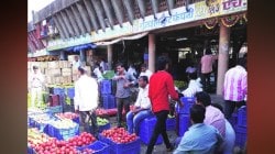 हिमालयातील ‘पहाडी’ फळांची पुणेकरांना भुरळ;  फळबाजारात प्लम, पिच, चेरीची आवक सुरू