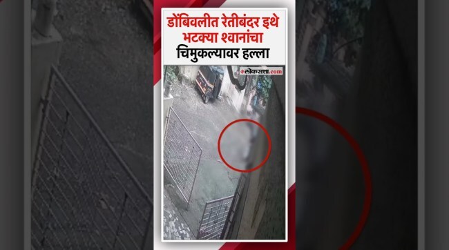 Five stray dogs attack a child at Mothagaon Retibandar in Dombivli