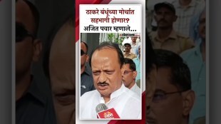 DCM Ajit Pawar Give reaction to Thackeray brothers Protest