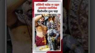 Rasabhishek of Hapus mangoes with chanting of Pandharpuri Mata Rukmini mantra