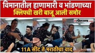Flight Fighting Viral Video