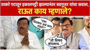 What did MP Sanjay Raut say on Sudhakar Badgujars question