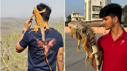 man rare animals friendship news in marathi