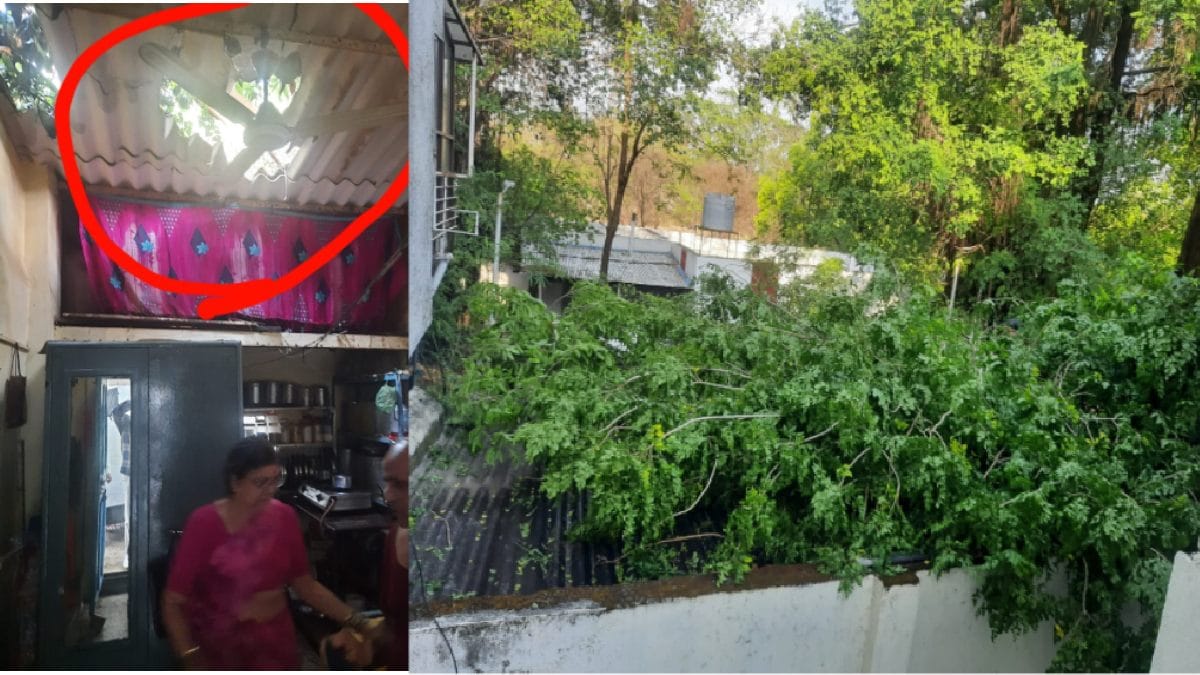 admin negligence in removing drangerous tree branches in police prabodhini