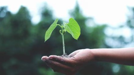 World Environment Day celebrated by implementing tree plantation and awareness activities pune print news