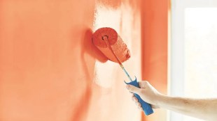 Laborer dies after falling while painting in pune