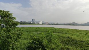 Survey the crocodiles in Powai Lake Mumbai print news