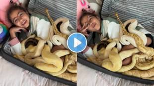 girl play with pythons viral video