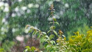 rainfall update in Tamhini ghat news in marathi