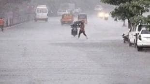 Wadala rainfall record