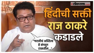 raj thackeray gave a reaction over hindi bhasha controvercy