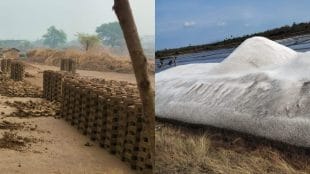 palghar, palghar news, businesses, need, insurance coverage, rains, damages, salt, Brick manufacturers