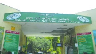 Sanjay Gandhi National Park plans to adopt wild animals Mumbai print news