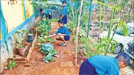 Backyard gardens developed in 68,704 schools in maharashtra