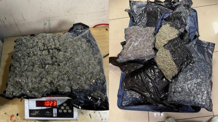 mumbai airport customs seize 24kg hydroponic ganja worth rs 25 crore mumbai print
