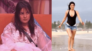How to lose weight actress shehnaaz gill diet and routines yoga